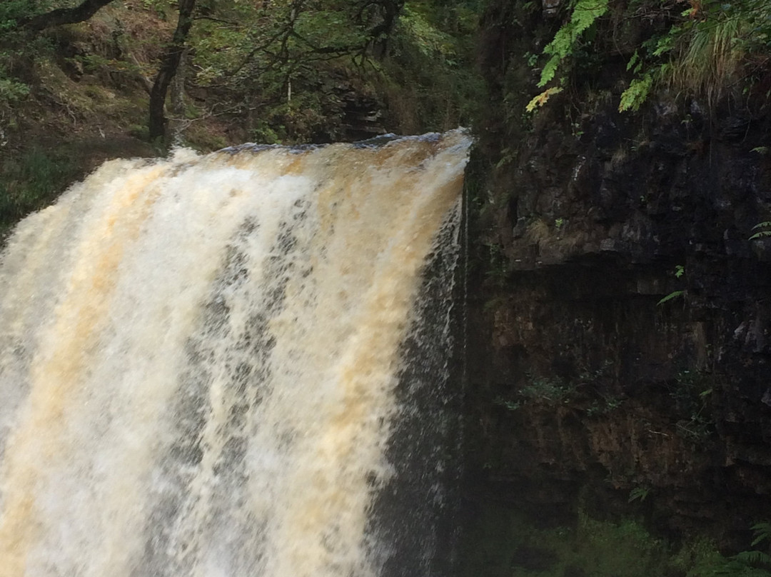 The Tanners Arms主图