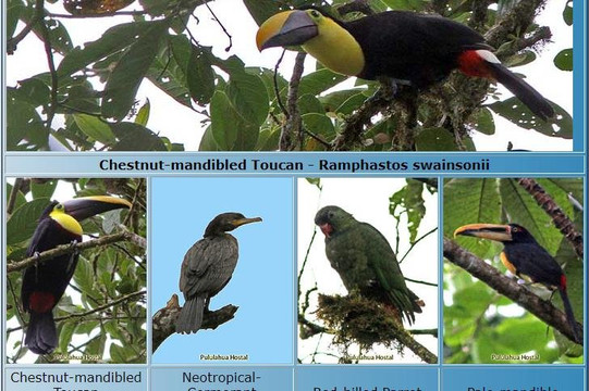 Mindo things to do-明多必去景点