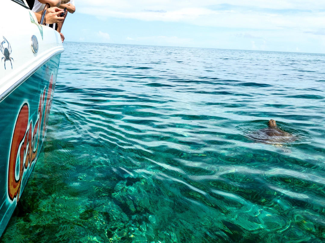 Crazy Crab Private Boat Charters-Camana Bay必去景点