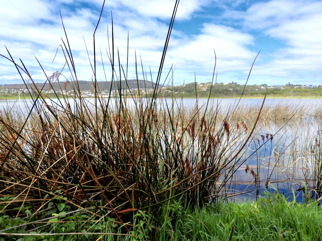 Lake Seppings-奥尔巴尼必去景点