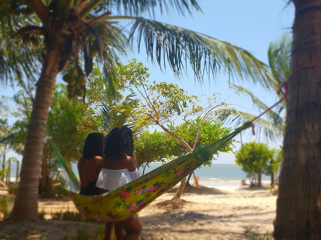 Boutique Villa Maraximbe - Marajo主图