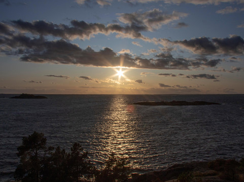 Helsinki Wildlife Photography-赫尔辛基必去景点