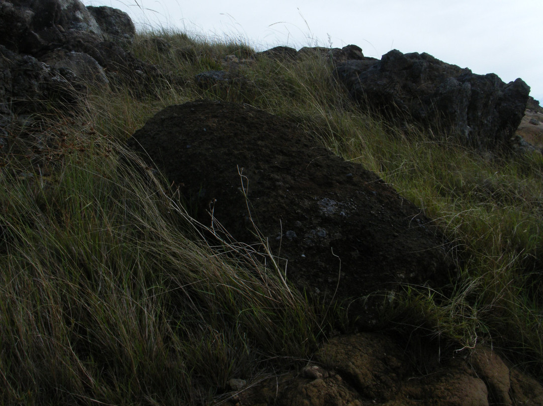 Puna Pau-安加罗阿必去景点