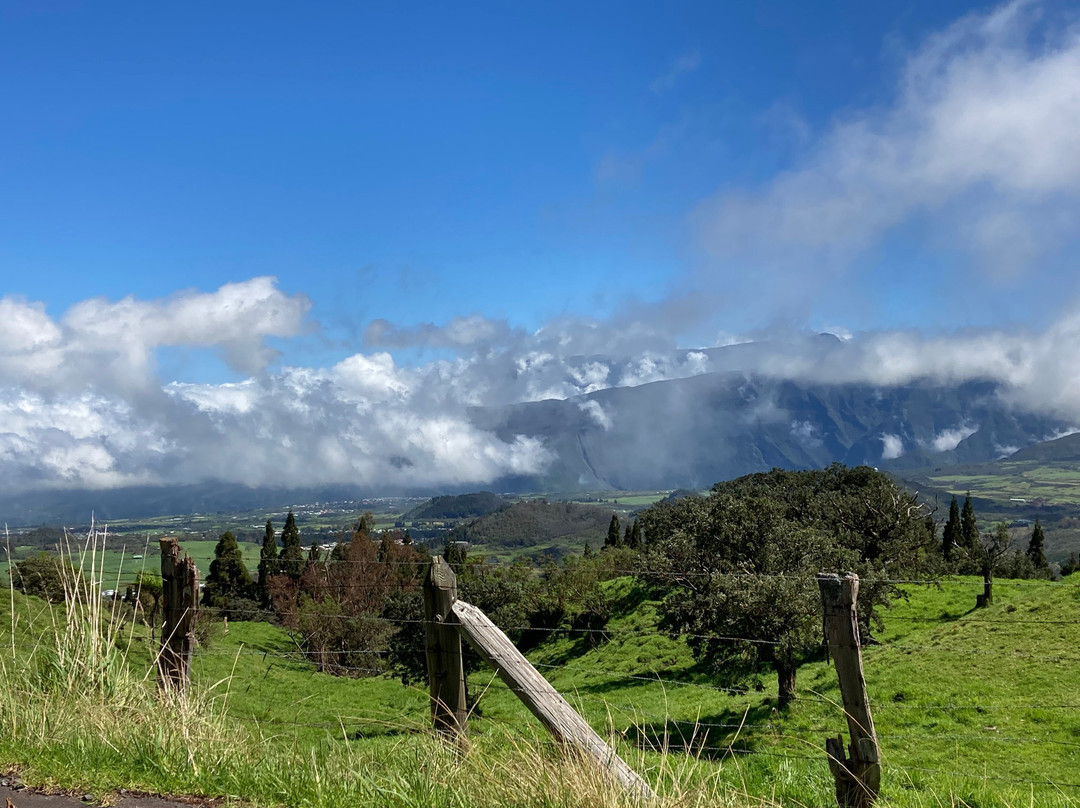 Route Forestière Du Volcan景点图片