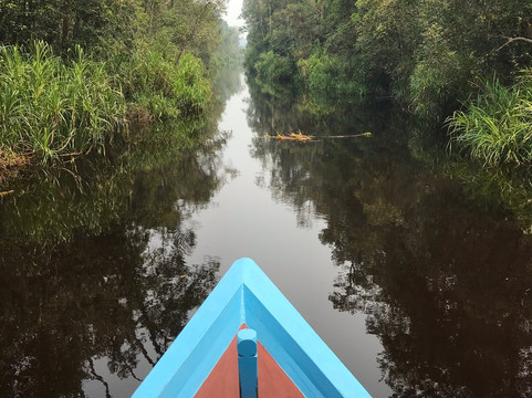 Wildlife Dream Tour-Pangkalan Bun必去景点