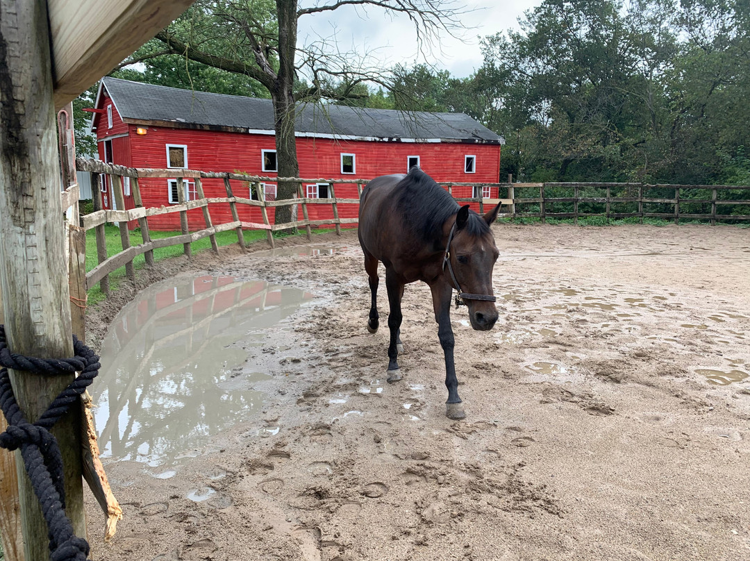 Palos Hills Riding Stables-Palos Hills必去景点