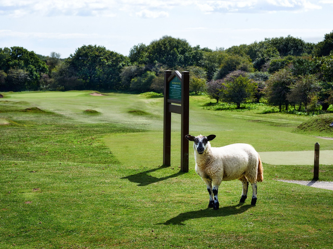 Yelverton Golf Club景点图片