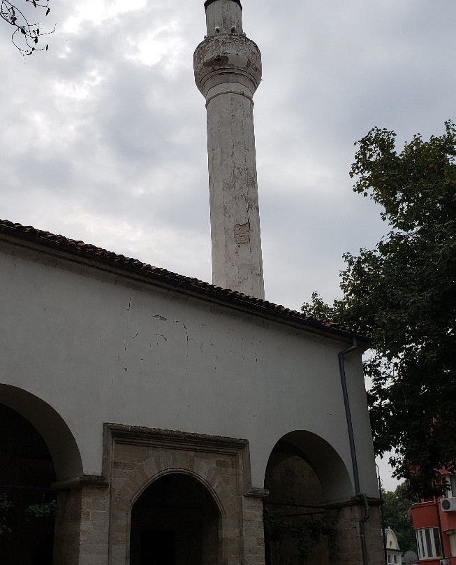 Dzhamiya and Library-Vidin必去景点