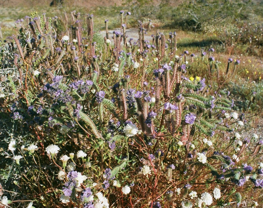 Hellhole Canyon Trail-波瑞戈泉必去景点