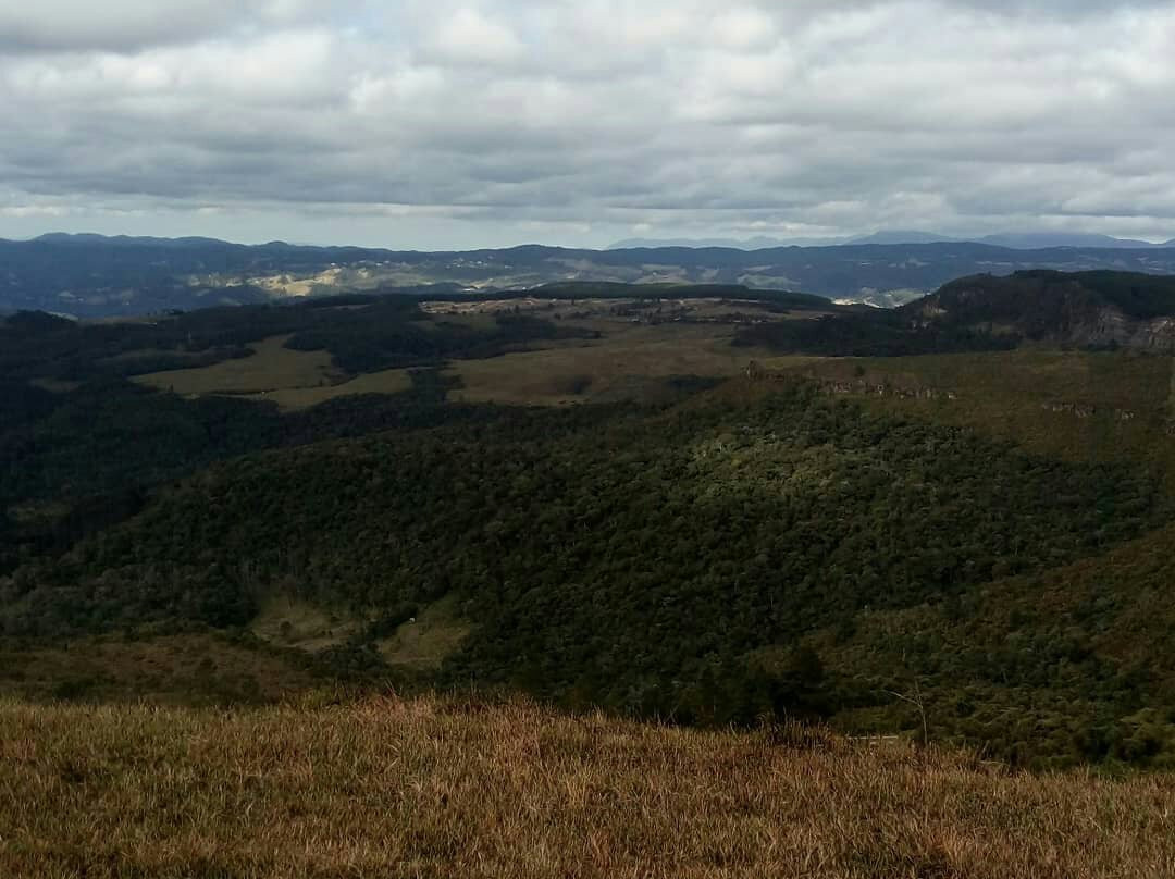 Alto da Boa Vista Hill景点图片