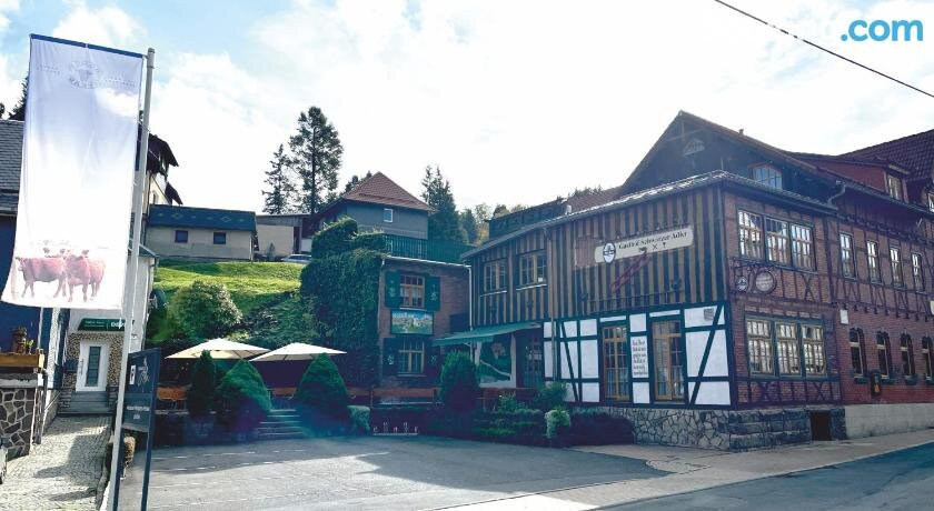 Gasthaus & Pension Schwarzer Adler主图