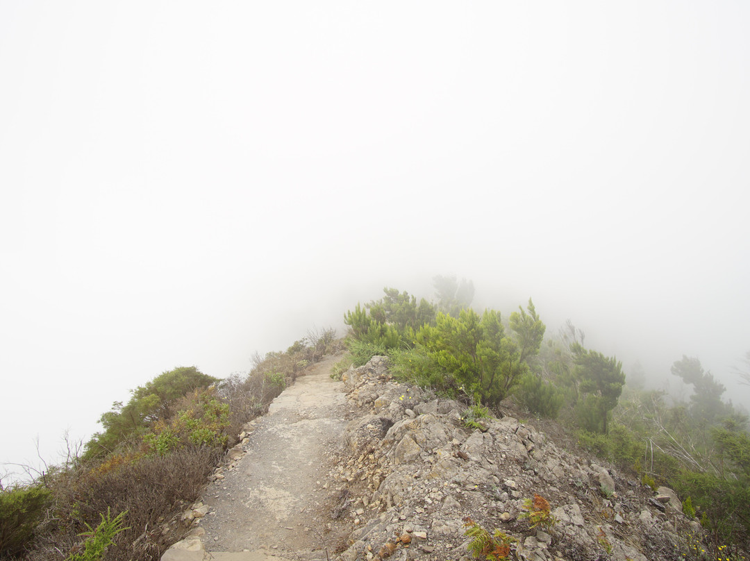 Mirador Morro De Agando-La Gomera必去景点