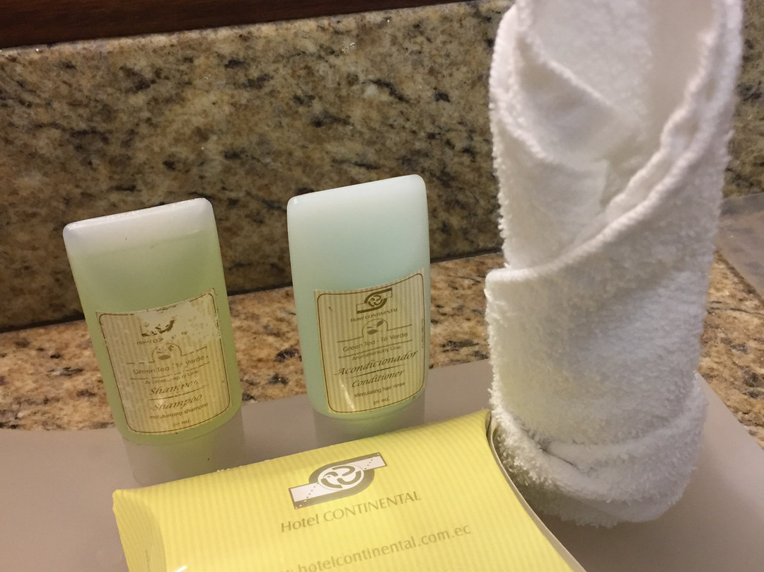 Continental Hotel主图