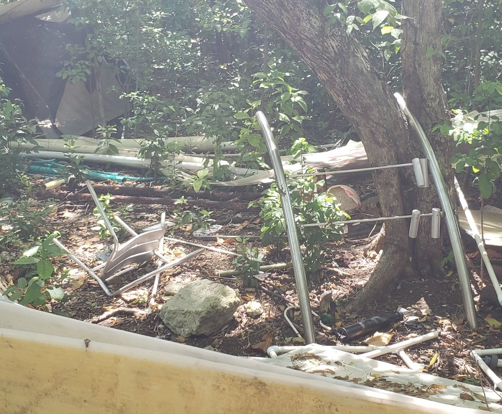 Jardín Botánico de San Andrés-圣安德烈斯必去景点