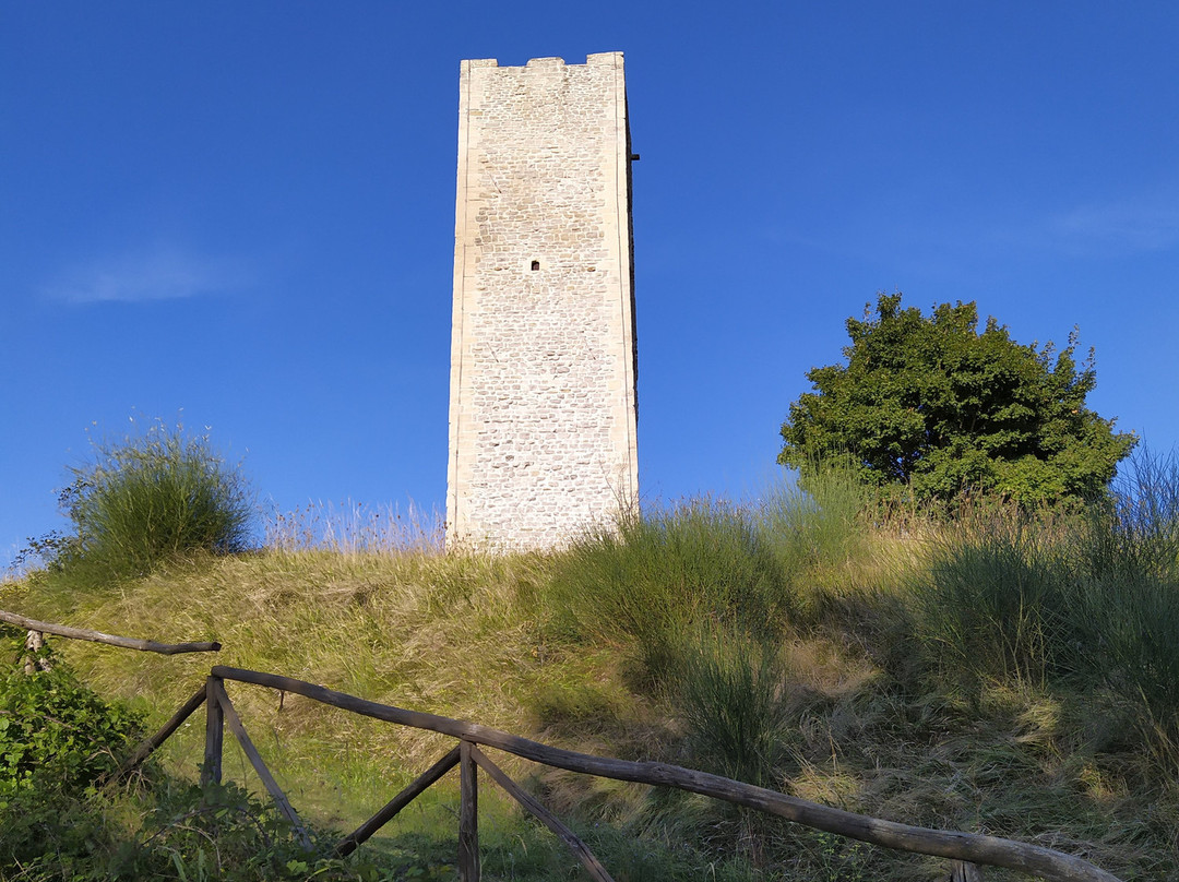 Torre e Castello di Bascio景点图片