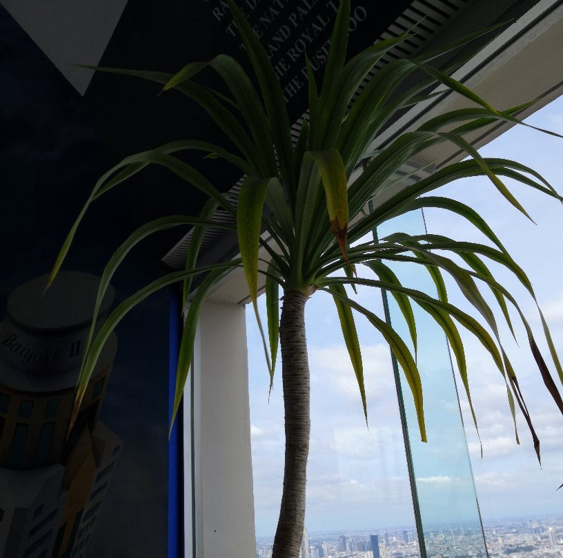 曼谷彩虹云宵酒店主图