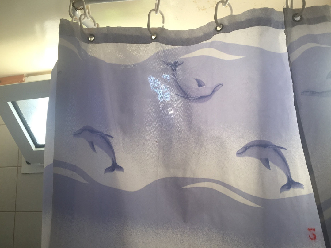 Princess Europa Hotel主图