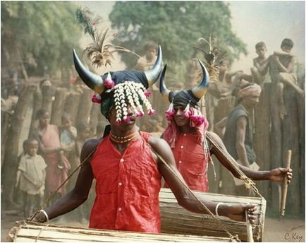 Tribalfest-那格浦尔必去景点