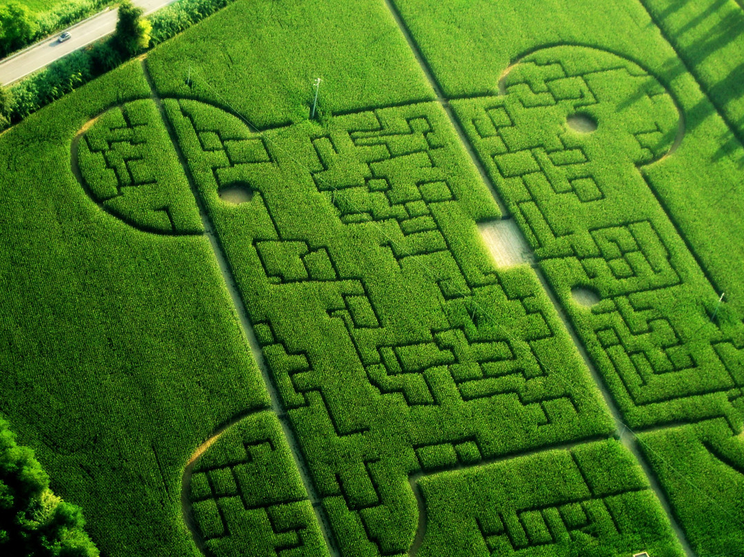 Labirinto di HORT-塞尼加利亚必去景点