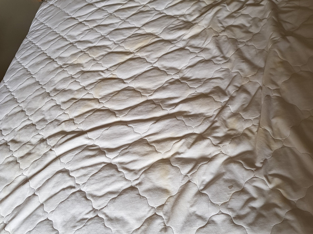 Lemo Hotel Serpong主图