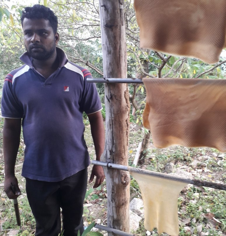 Kanda Land Villa主图