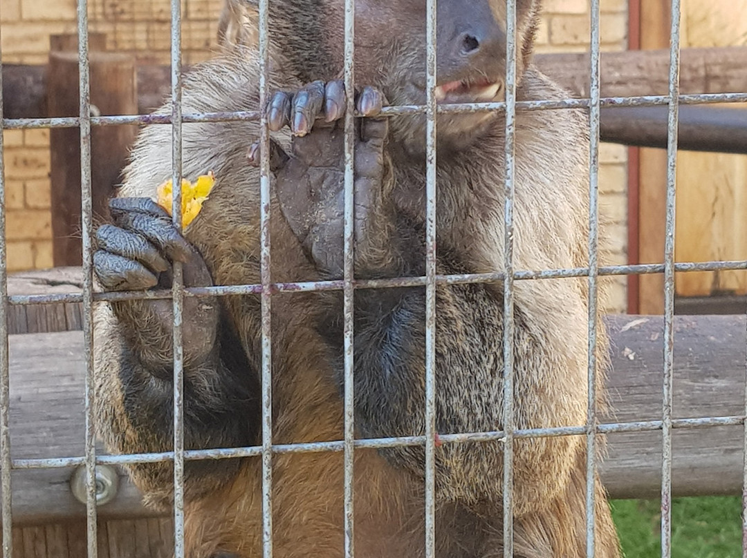 Monkey and Bird Park景点图片