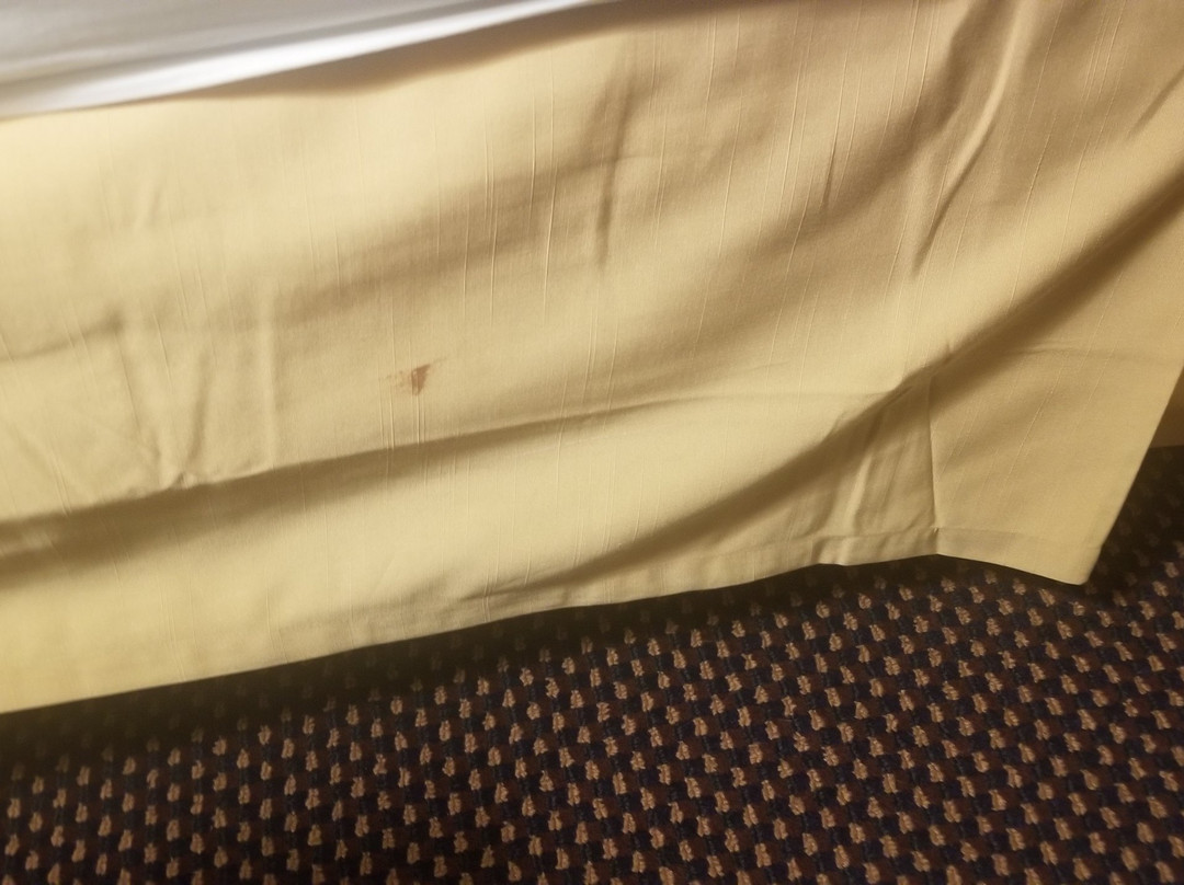 Travelodge by Wyndham Watertown主图