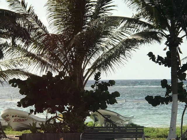 Palmeras De Mahahual Cabanas Eco Hotel主图