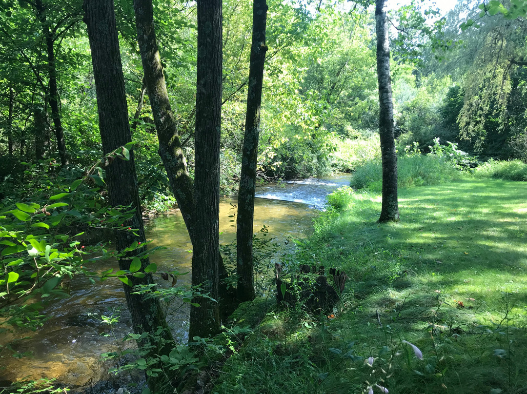 Mecan River House B&B主图