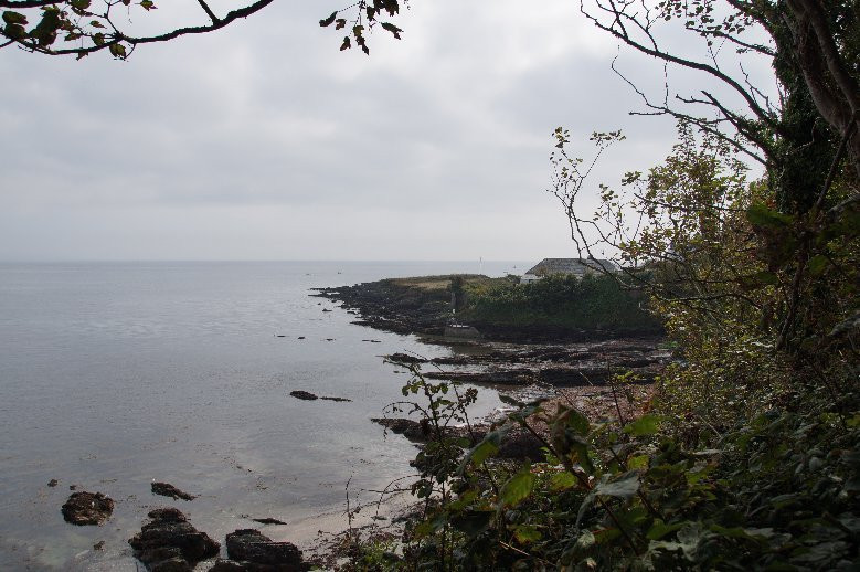 Looe Island景点图片