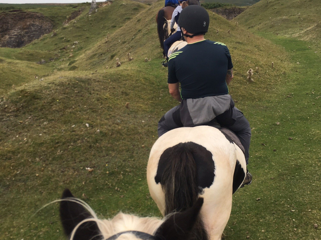 Wern Trekking and Riding Centre-Crickhowell必去景点