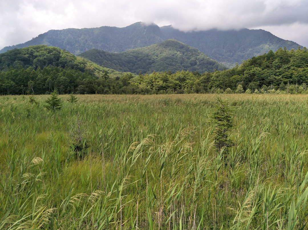 Senjogahara Field景点图片