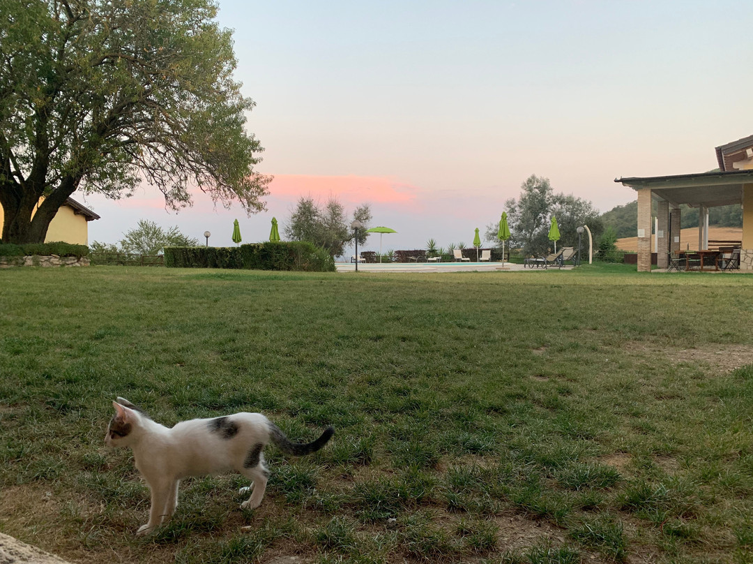 Agriturismo Terre di Musignano主图