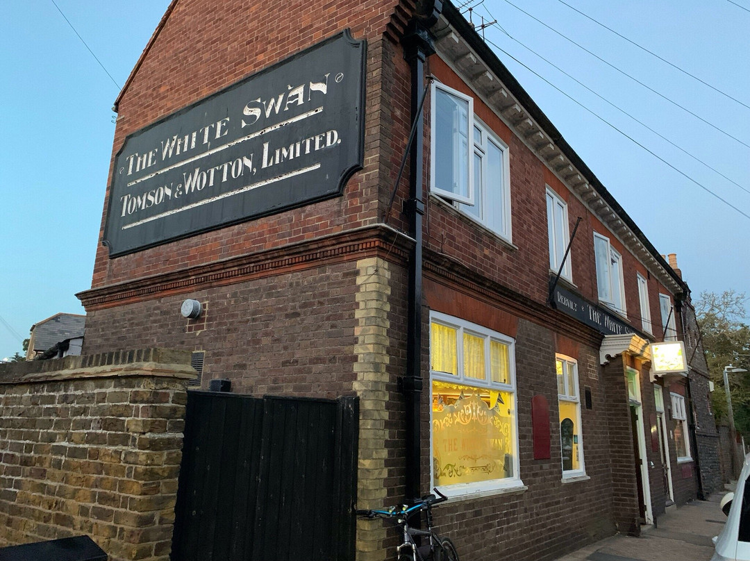 The White Swan