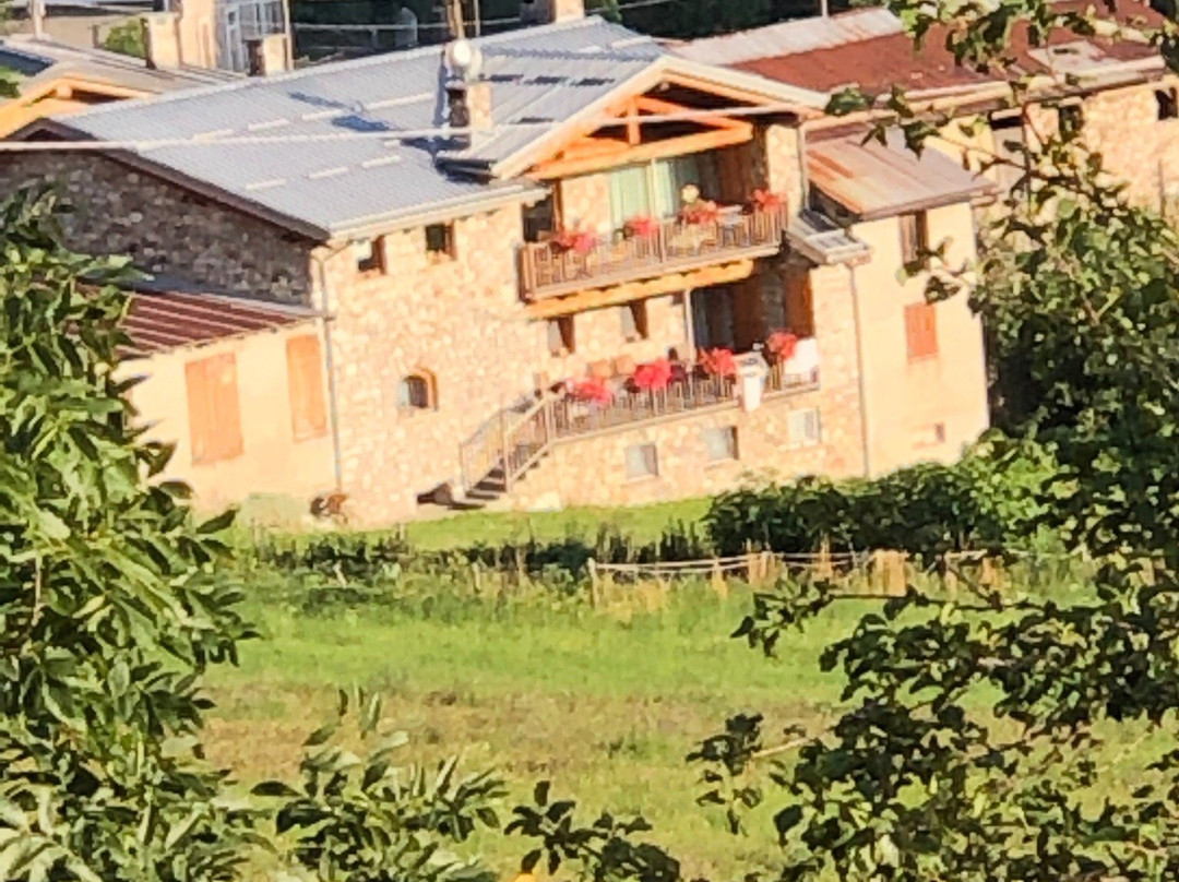 Radici Sambuco Affittacamere主图