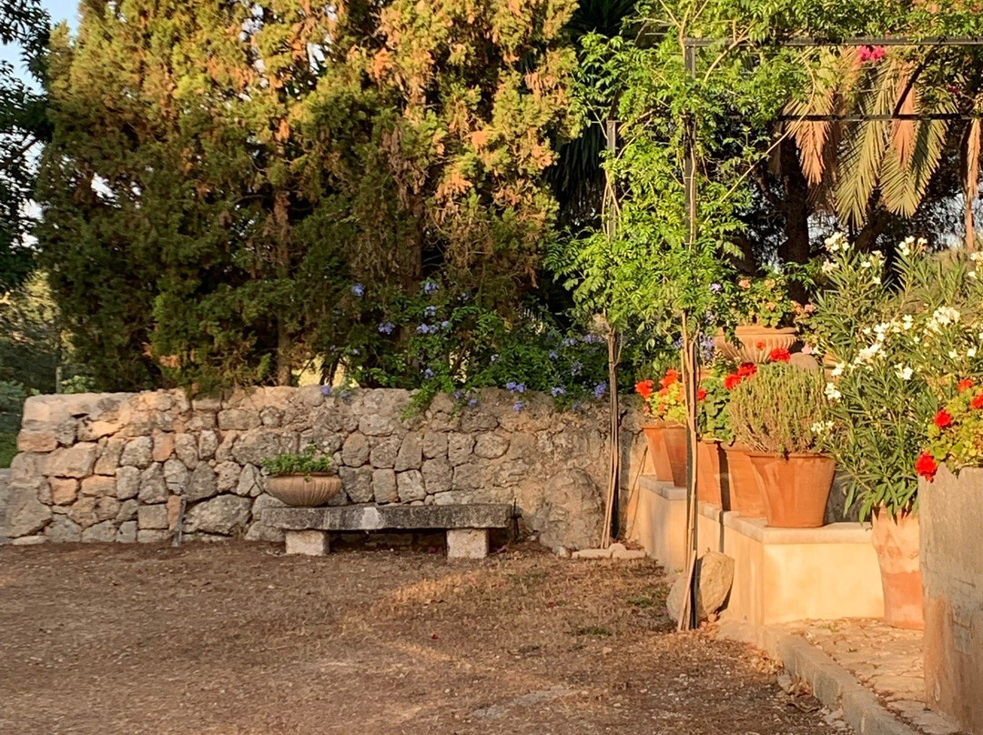 珀喜萧毕尼康帕德农场酒店主图