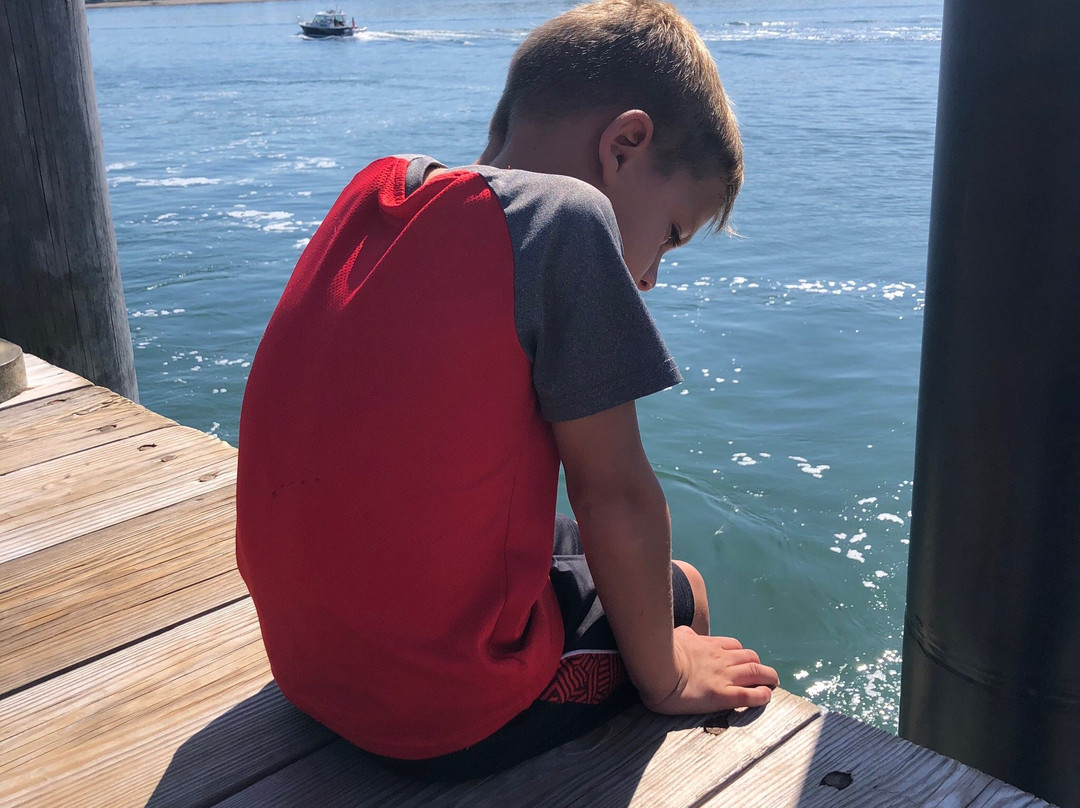 Inn At Diamond Cove主图