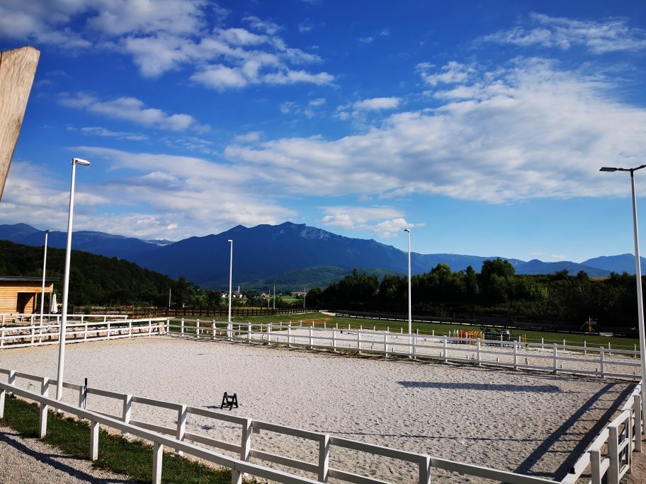 Lazy Horse Riding Center景点图片