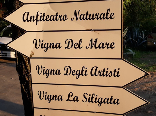 Tenuta Carlini-佩萨罗必去景点