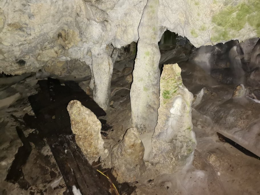 The Women's Cave ( Pestera Muierii )景点图片