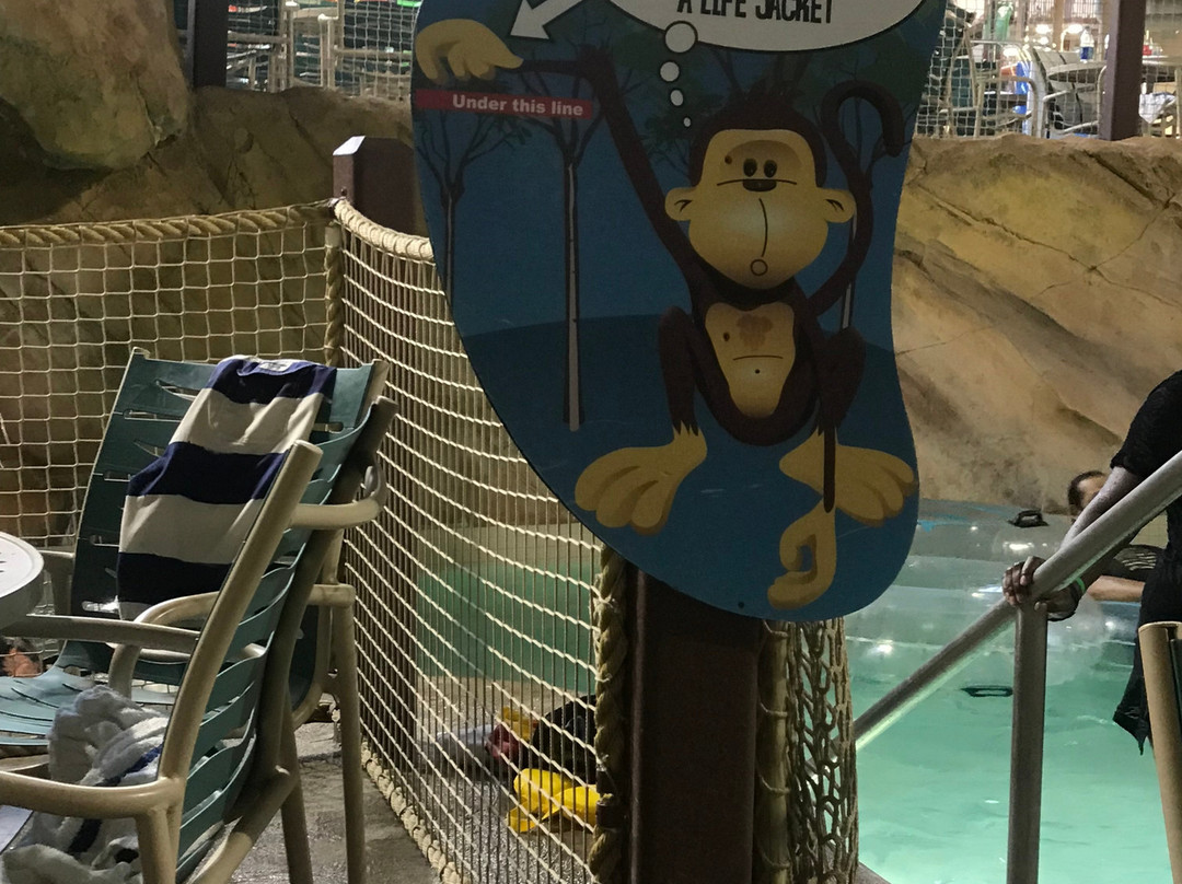 Kalahari Waterparks景点图片