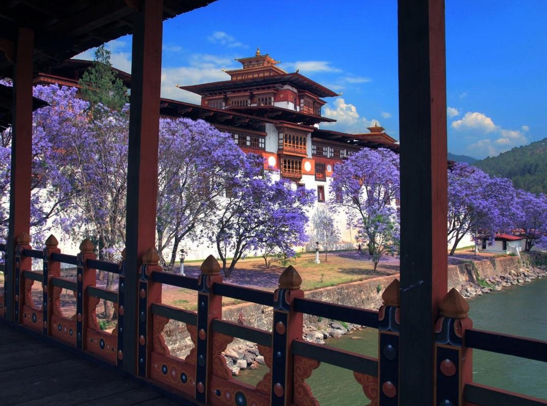 Seven Senses Tours-伦敦必去景点