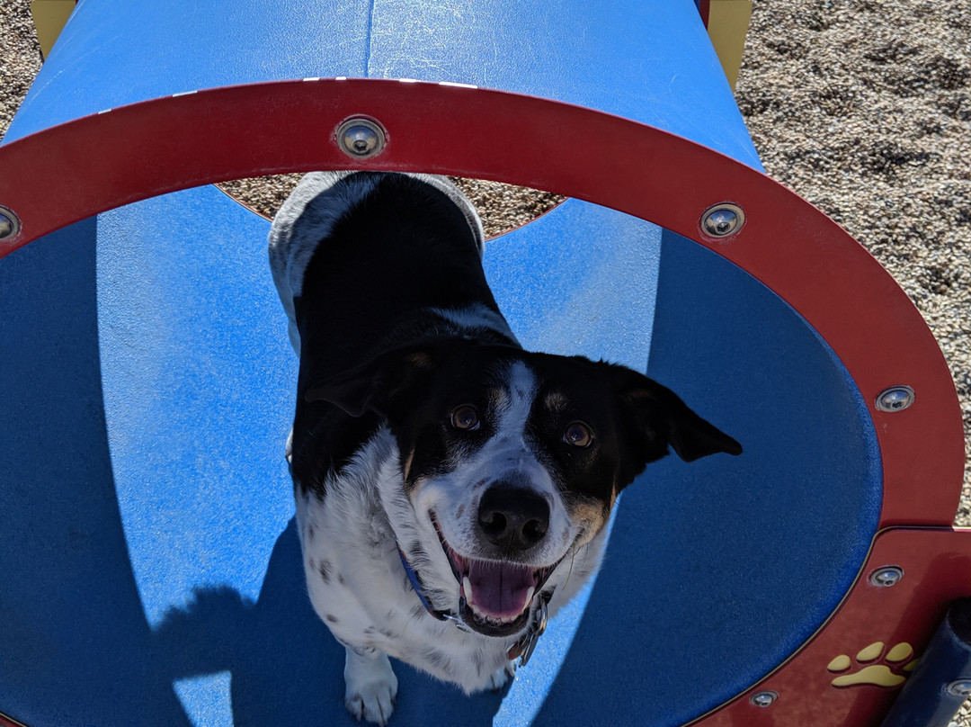 Storey Bark Park-默里迪恩必去景点