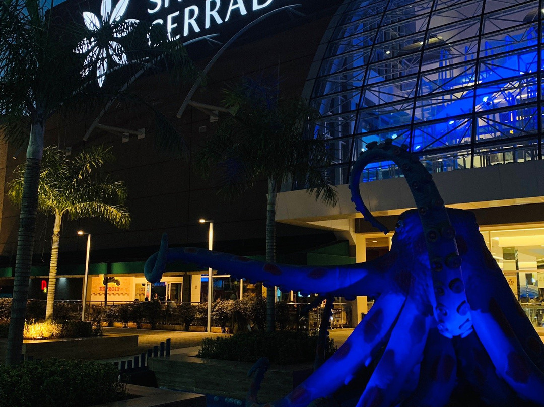 Shopping Cerrado-戈亚尼亚必去景点