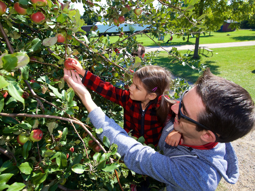 Markham Museum-万锦市必去景点