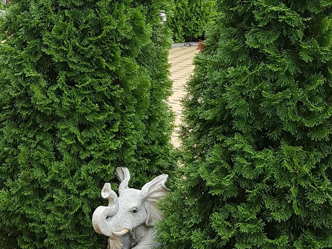 Riviera Gostevoy Dvor主图