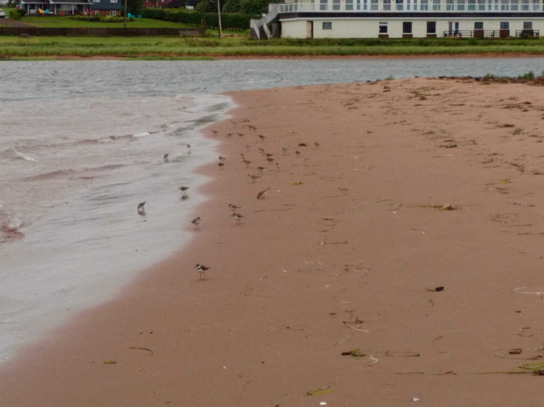 Souris Beach Provincial Park-Souris必去景点