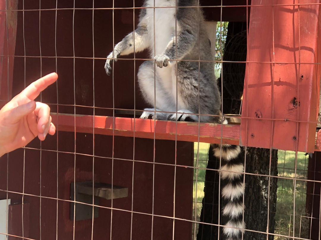 Center for Animal Research & Education-Bridgeport必去景点