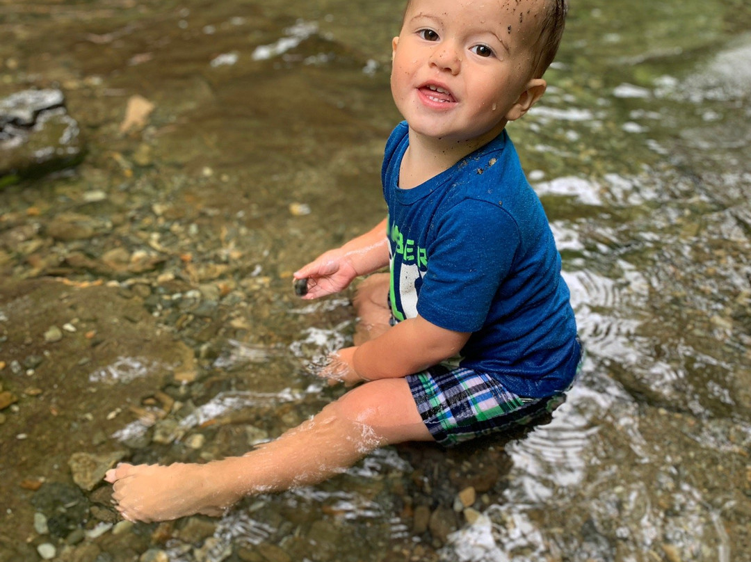 Tom Branch Falls-大雾山国家公园必去景点