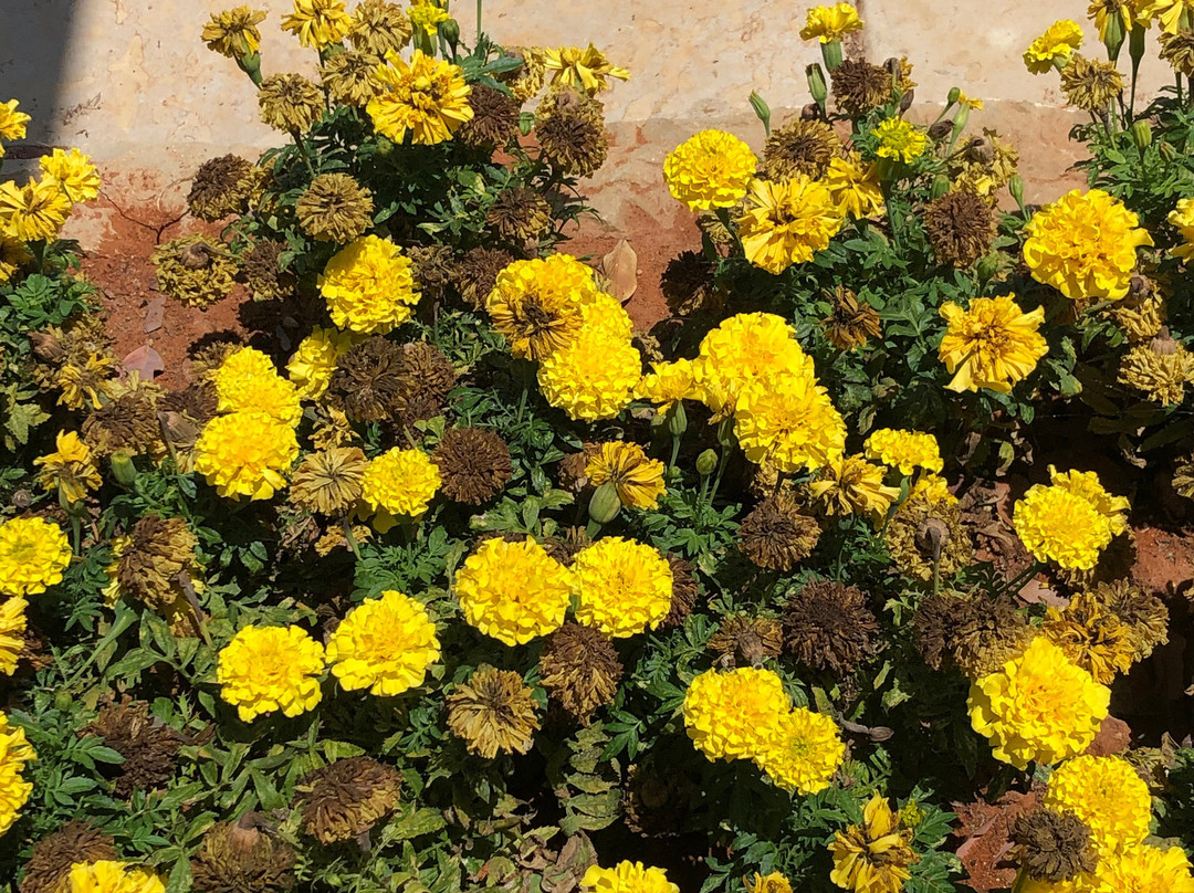 Botanical Garden-特拉维夫必去景点